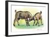 Fight Between Baby Goats or Kids (Capra Hircus)-null-Framed Giclee Print