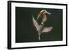 Fight Between Rainbows-Marco Redaelli-Framed Photographic Print