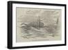 Fight Between Sea-Serpent and Sperm Whale-null-Framed Giclee Print