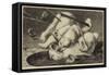 Fight Between Two Polar Bears-null-Framed Stretched Canvas