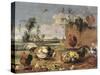 Fight of Cocks-Frans Snyders-Stretched Canvas