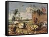 Fight of Cocks-Frans Snyders-Framed Stretched Canvas