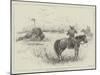 Fight with a Buffalo in South Africa-Henry Charles Seppings Wright-Mounted Giclee Print