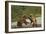 Fighting Brown Bears, Katmai National Park, Alaska-Paul Souders-Framed Photographic Print