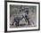 Fighting Burchell's Zebra, Serengeti, Tanzania-Dee Ann Pederson-Framed Photographic Print