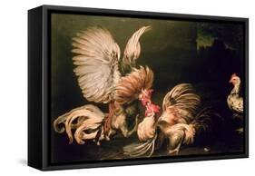 Fighting Cocks-Frans Snyders Or Snijders-Framed Stretched Canvas