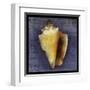 Fighting Conch-John Golden-Framed Art Print