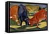 Fighting Cows-Franz Marc-Framed Stretched Canvas