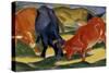 Fighting Cows-Franz Marc-Stretched Canvas