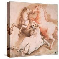 Fighting Horses, C1550-1600-null-Stretched Canvas