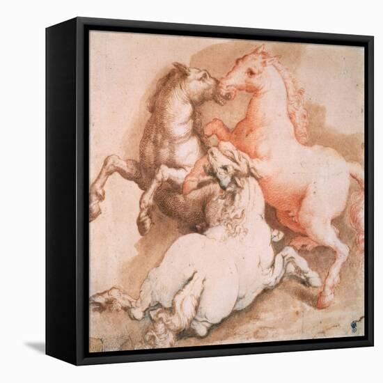 Fighting Horses, C1550-1600-null-Framed Stretched Canvas