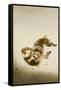 Fighting Monkeys-Koson Ohara-Framed Stretched Canvas