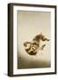 Fighting Monkeys-Koson Ohara-Framed Premium Giclee Print
