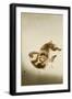 Fighting Monkeys-Koson Ohara-Framed Premium Giclee Print