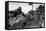 Fighting North of the Chongchon River During the U.S. Advance Above the 38th Parallel-null-Framed Stretched Canvas