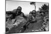 Fighting North of the Chongchon River During the U.S. Advance Above the 38th Parallel-null-Mounted Photo