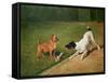 Fighting over a Bone-John Emms-Framed Stretched Canvas