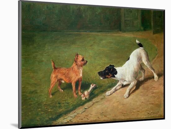 Fighting over a Bone-John Emms-Mounted Giclee Print