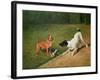 Fighting over a Bone-John Emms-Framed Giclee Print