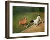 Fighting over a Bone-John Emms-Framed Giclee Print