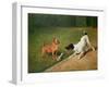 Fighting over a Bone-John Emms-Framed Giclee Print