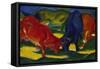 Fighting Oxen, 1911-Franz Marc-Framed Stretched Canvas