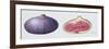 Figs, 1995-Margaret Ann Eden-Framed Giclee Print