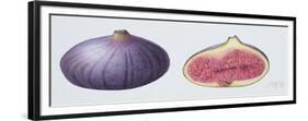 Figs, 1995-Margaret Ann Eden-Framed Giclee Print