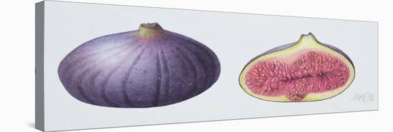 Figs, 1995-Margaret Ann Eden-Stretched Canvas