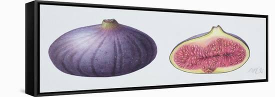 Figs, 1995-Margaret Ann Eden-Framed Stretched Canvas