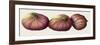 Figs, 2001-Annabel Barrett-Framed Giclee Print