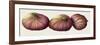 Figs, 2001-Annabel Barrett-Framed Giclee Print