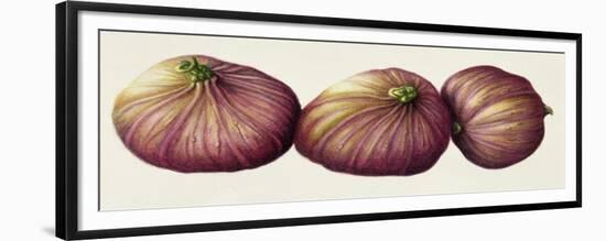 Figs, 2001-Annabel Barrett-Framed Giclee Print