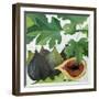 Figs, 2013-Jennifer Abbott-Framed Giclee Print