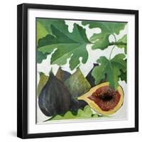 Figs, 2013-Jennifer Abbott-Framed Giclee Print