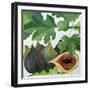 Figs, 2013-Jennifer Abbott-Framed Giclee Print