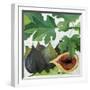 Figs, 2013-Jennifer Abbott-Framed Giclee Print