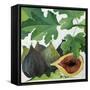 Figs, 2013-Jennifer Abbott-Framed Stretched Canvas