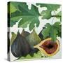 Figs, 2013-Jennifer Abbott-Stretched Canvas