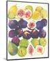 Figs and Dates-null-Mounted Premium Giclee Print