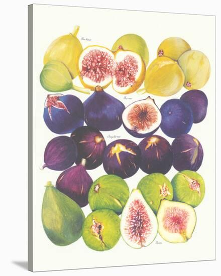 Figs and Dates-null-Stretched Canvas