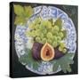 Figs and Grapes on a Plate-Jennifer Abbott-Stretched Canvas