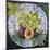 Figs and Grapes on a Plate-Jennifer Abbott-Mounted Giclee Print