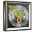 Figs and Grapes on a Plate-Jennifer Abbott-Framed Giclee Print