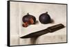 Figs and Knife-James Gillick-Framed Stretched Canvas