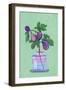 Figs Branch in Vase-Raissa Oltmanns-Framed Giclee Print