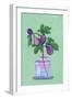 Figs Branch in Vase-Raissa Oltmanns-Framed Giclee Print