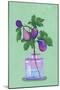 Figs Branch in Vase-Raissa Oltmanns-Mounted Giclee Print
