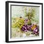 Figs, Grapes and Pears with Marguerites-Joan Thewsey-Framed Giclee Print