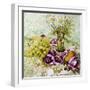 Figs, Grapes and Pears with Marguerites-Joan Thewsey-Framed Giclee Print